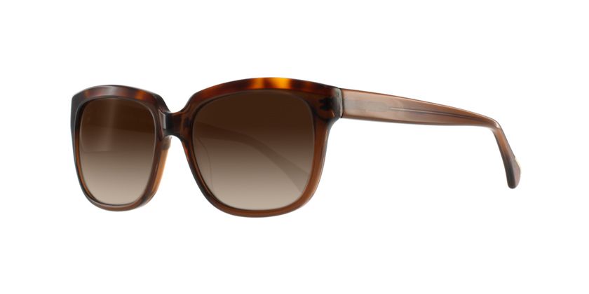 Anson Benson AB2034S043 Sunglasses - 45 Degree View